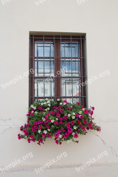 Window Flower Box Decoration Flowers Free Photos