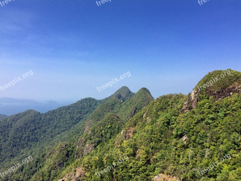 Jungle Langkawi Mountains Forest Green