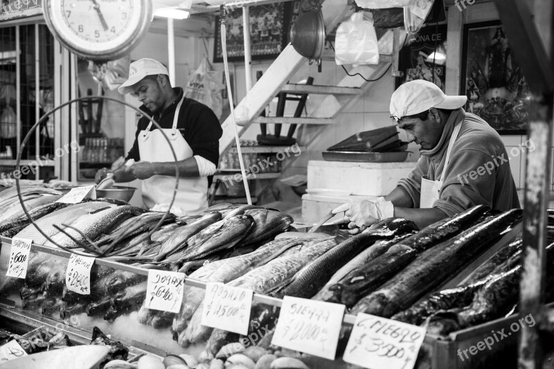 Fish Market Market Traditionally Spain Fish