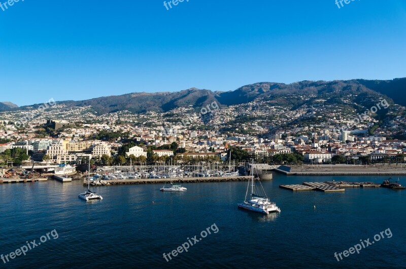 Funchal Madeira Port Portugal City