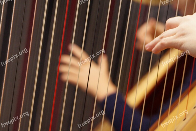 Musical Instrument Harp Concert Harp Stringed Instrument Hands