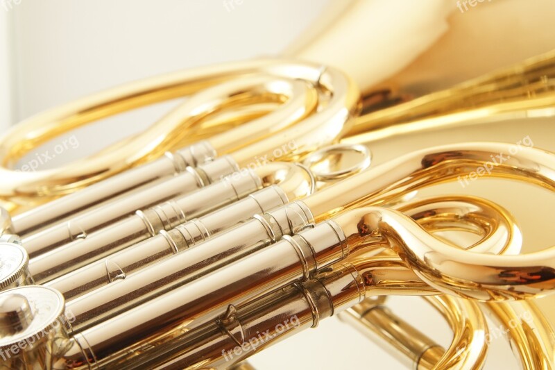 French Horn Wind Instrument Brass Instrument Musical Instrument Horn