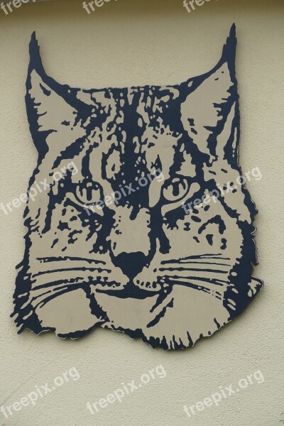 Lynx Animal Head Image Wild