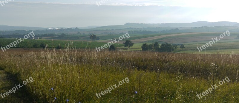 Panorama Agriculture Morgenstimmung Wide Peaceful