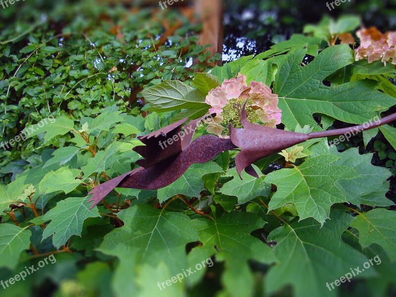 Hummingbird Decorative Decorative Hummingbird Humming Bird Sculpture