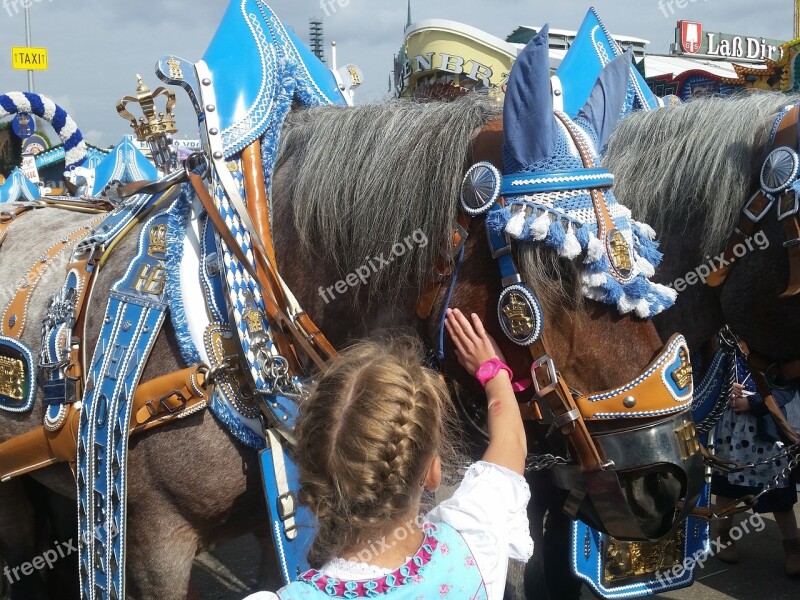 Beer Car Team Horse Oktoberfest Wagon