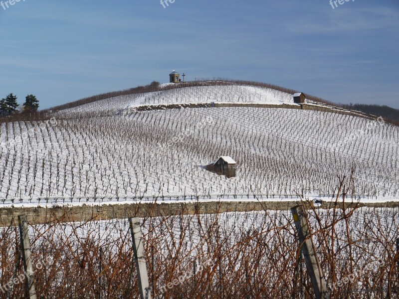 Vineyard Winter Snow Wintry Dream Day