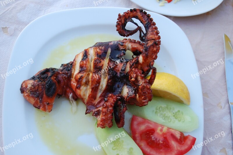 Octopus Grilled Calamari Appetizing Food