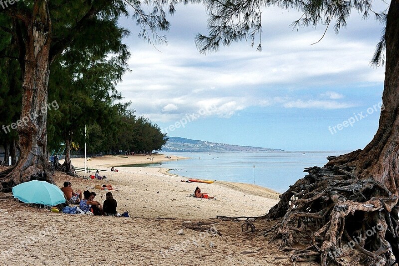 Beach Sand Sunbathing Ocean Waves