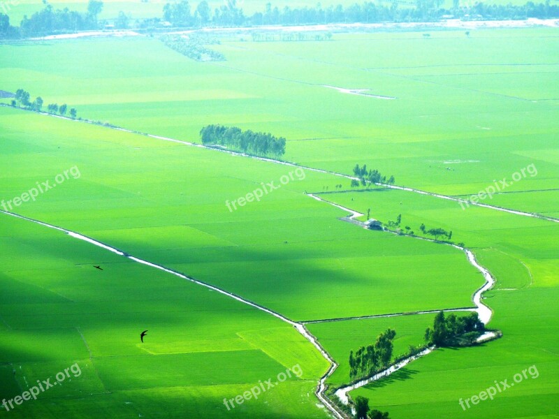 Paddy Green Picturesque Vietnam Landscape