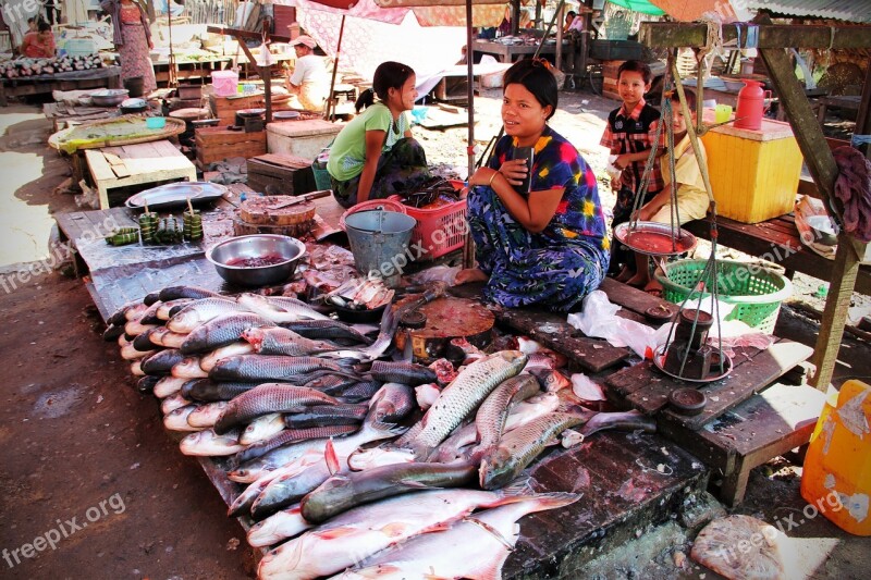 Fish Market Market Fish Food Free Photos