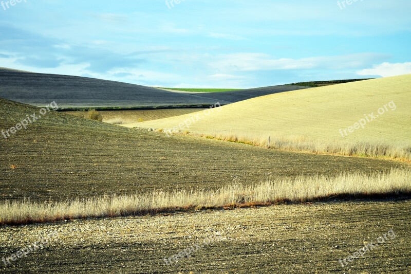 Plowed Fields Agriculture Farm Land