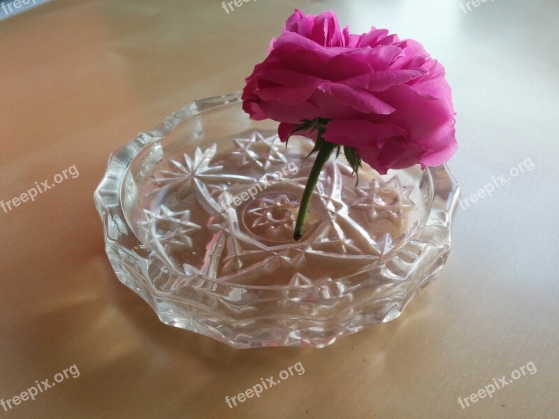 Flower Ashtray Ecological Bless You Rosa