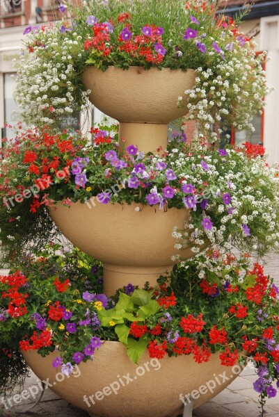 Planter Flower Pot Flower Pot Decoration