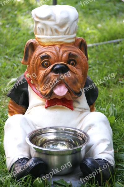 Dog Bowl Dog Dog Food Bowl Water