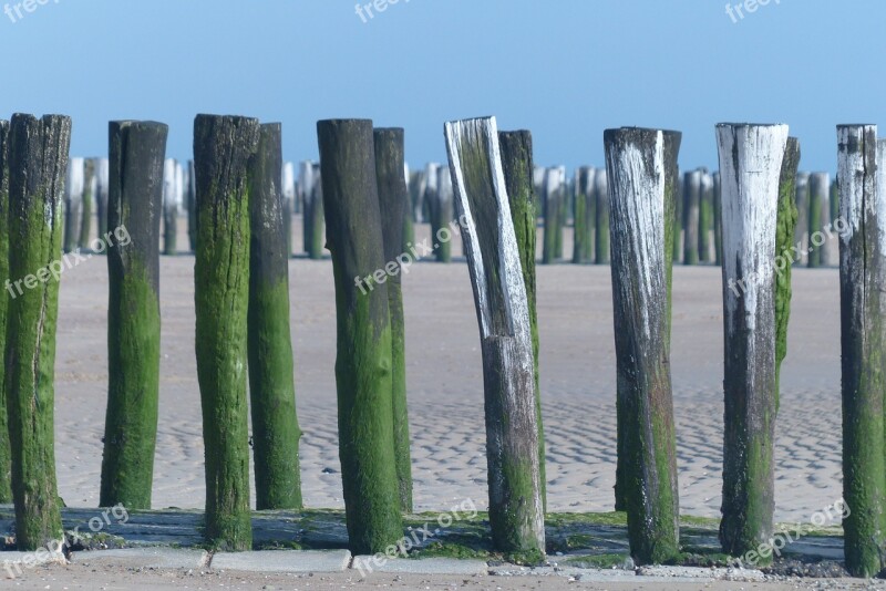 Palisades Walcheren Sea Wall Free Photos