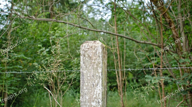 Wooden Posts Post Barbed Wire Fence Pasture