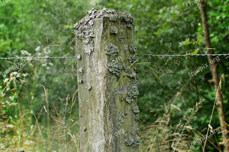 Wooden Posts Post Barbed Wire Fence Pasture