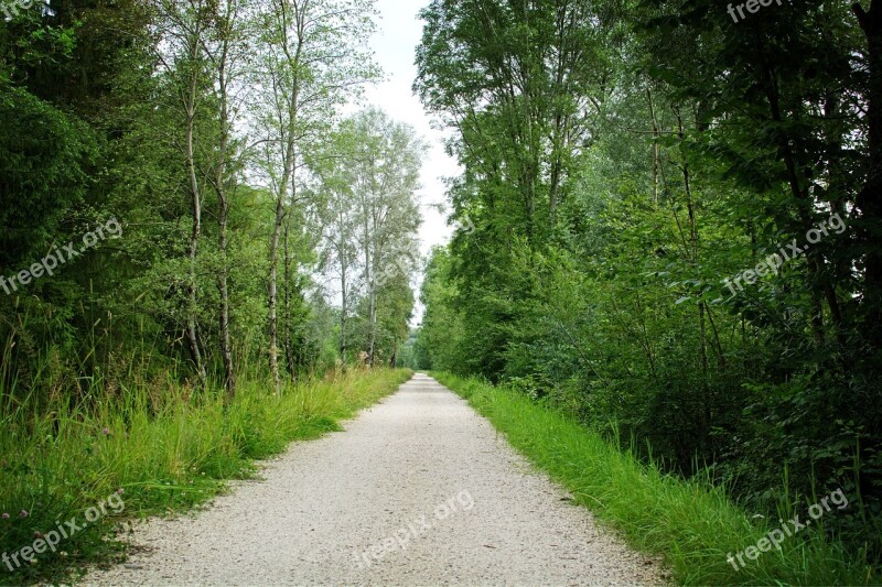 Away Lane Landscape Way Forest Path Nature