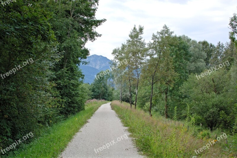 Away Lane Landscape Way Forest Path Nature