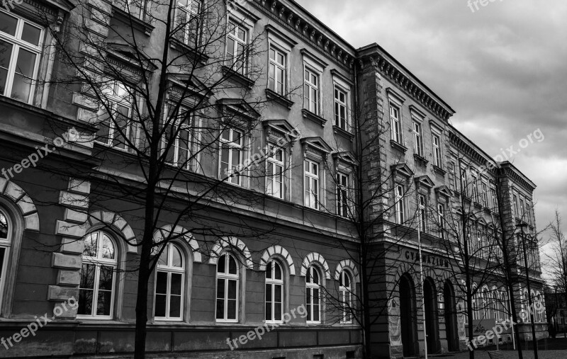 School Black And White Trees Autumn Building