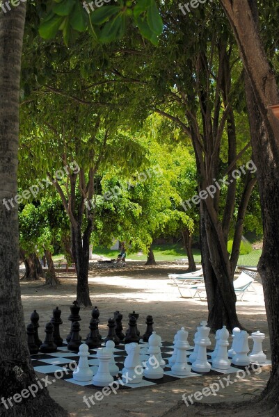 Chess Game Beach Pastime Leisure