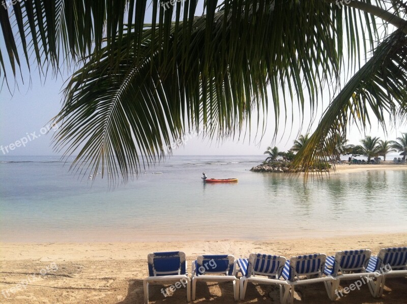 Palm Tree Caribbean Tropical Ocean Vacation