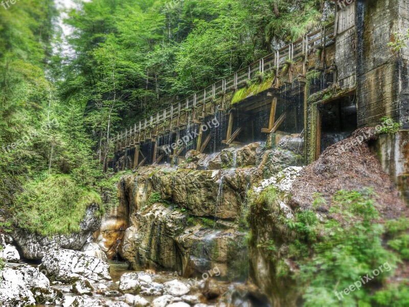 Clammy Bridge Moss Nature Forest