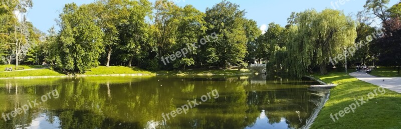 Park Green Water Panorama Landscape