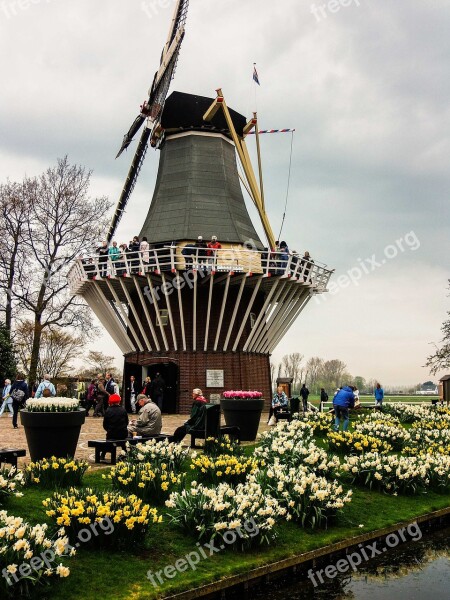 Netherlands Mill Flowers Roslin Nature