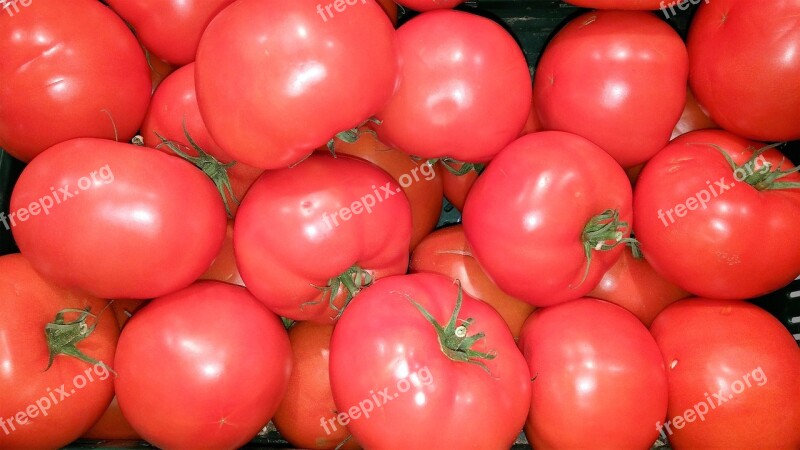 Tomatoes Fresh Food Vegetables Red