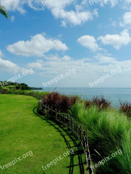 South India Ocean Bali Winding Fence Weeds