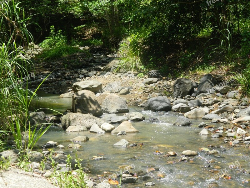 Nature River Pebbles Water Sky