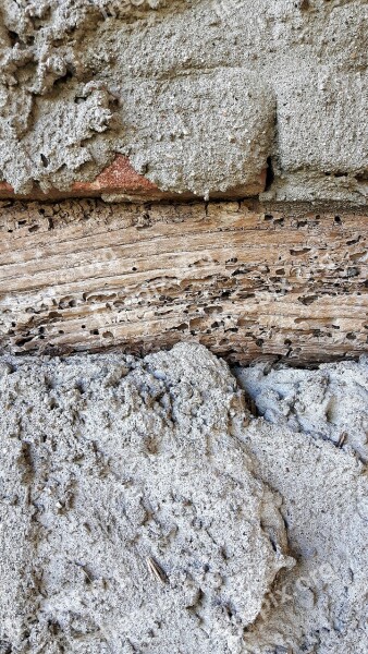 Wall Stone Bricks Plaster Texture