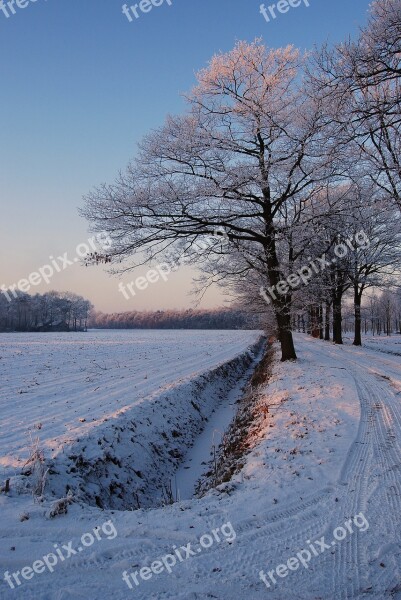 Winter White Frost Snow Snow Landscape