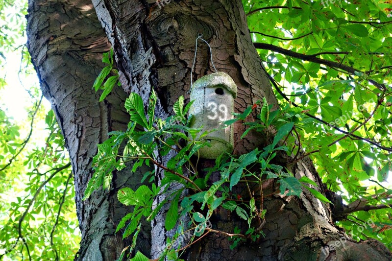 Nestbox Bird Box Birdhouse Shelter Eggs