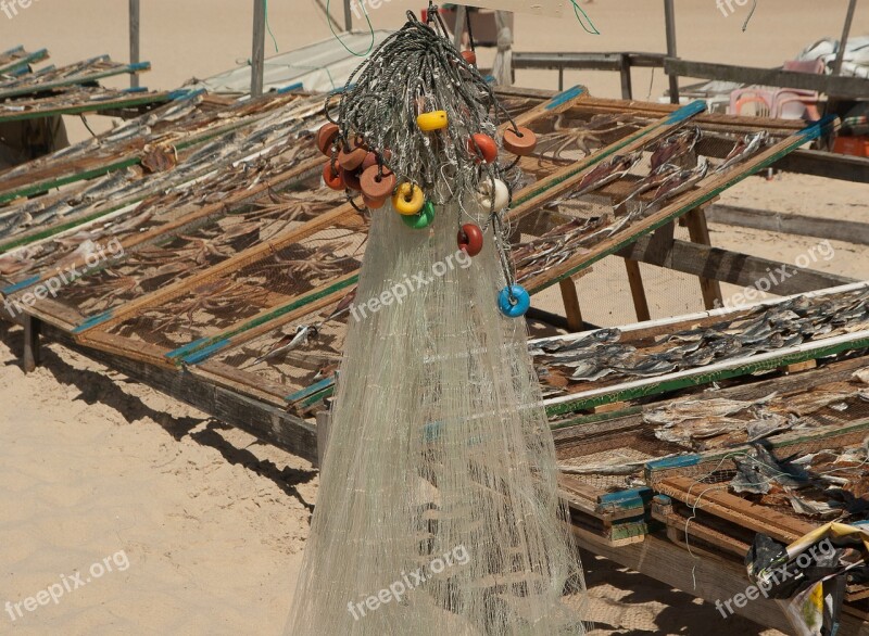 Portugal Nazaré Dryers Fish Fillets Fishing