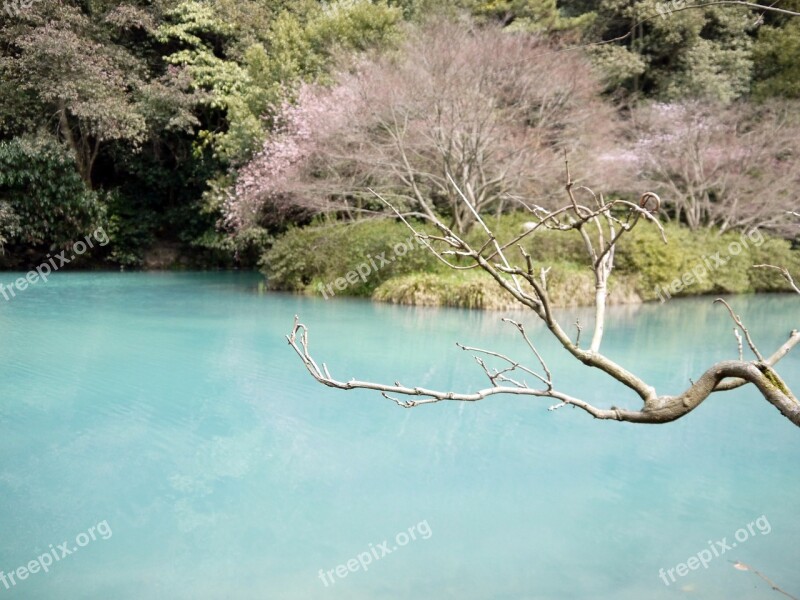 Lake Hangzhou The Scenery Free Photos