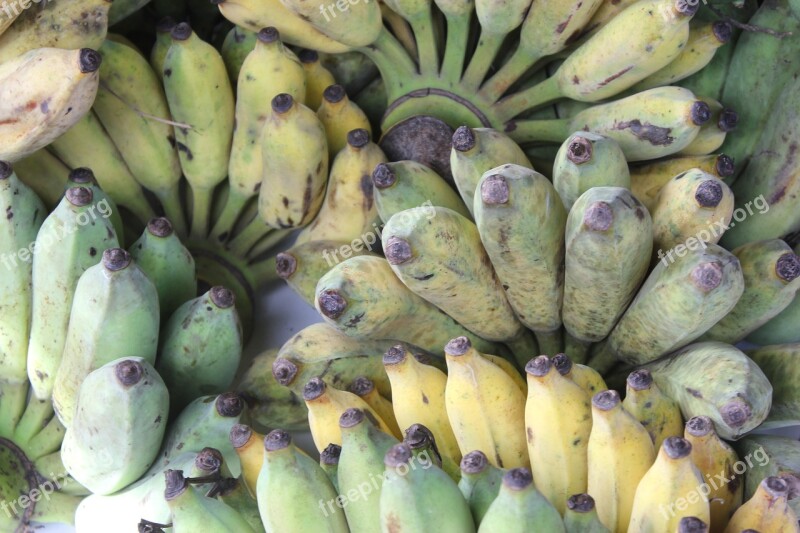 Banana Cultivated Banana Asian Banana Fruit Organic