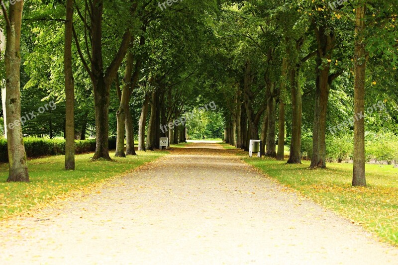 Avenue Park Ludwigslust-parchim Castle Park Tree Lined Avenue