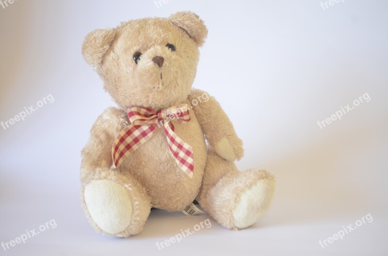 Teddy Bear Toy Cute Childhood