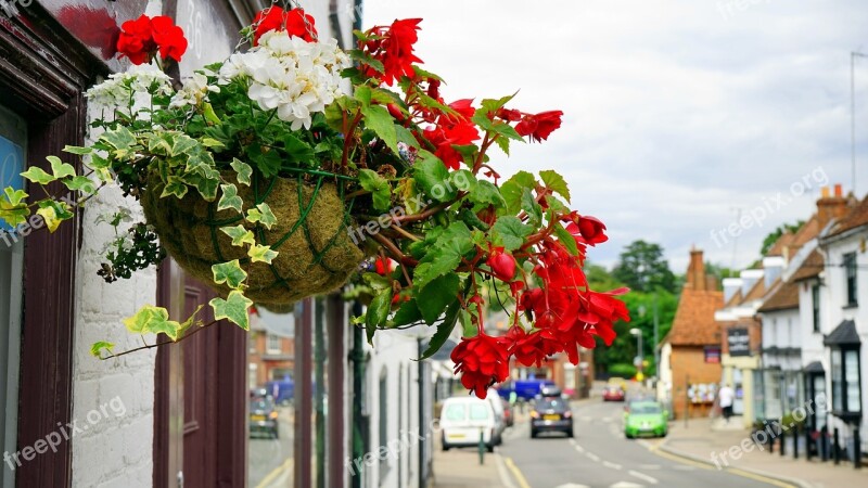 Flowers Street Decoration Spring Summer