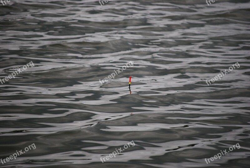 Water Fishing Float Nature Free Photos