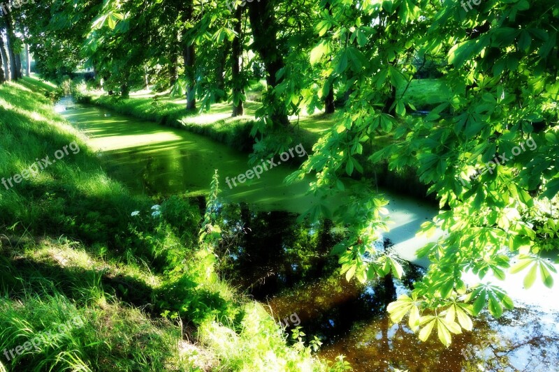 Moat Water Duckweed Landscape Scenic