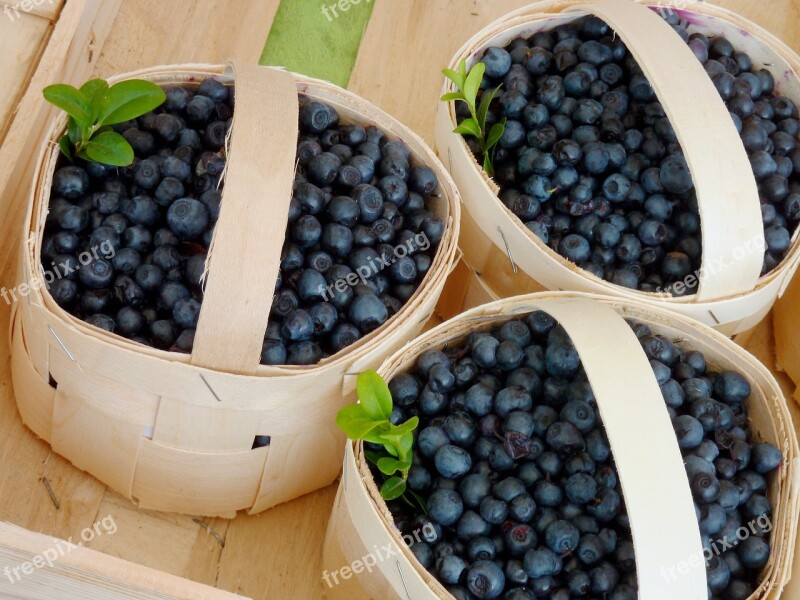 Blueberries Delicious Fruit Fruits Summer