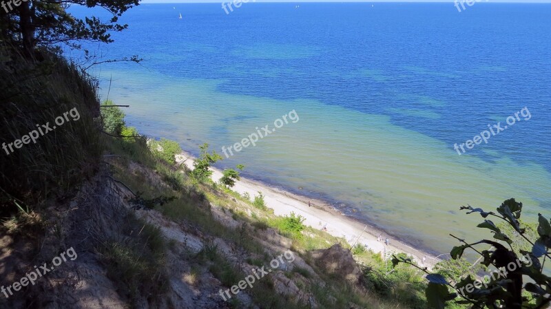 Trees Baltic Sea Beach Bank Holiday Mood