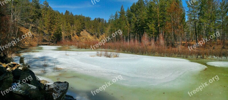 Nature Forest Spring River Ice