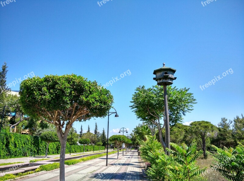 Manavgat Hotel Complex Road Aviary Trees