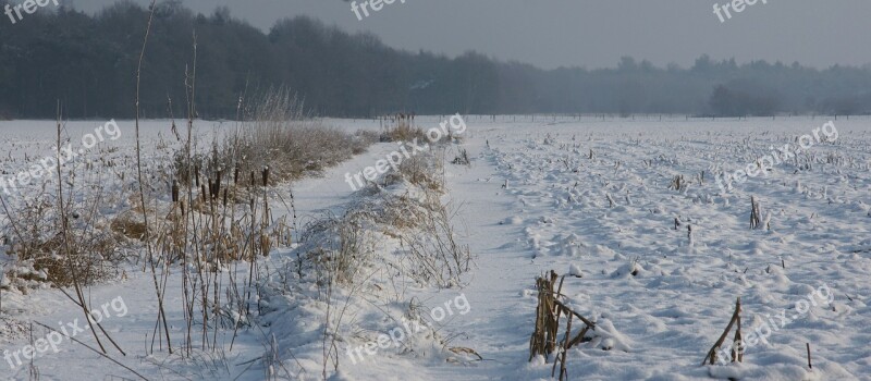 Snow Winter Landscape Helvoirt Free Photos