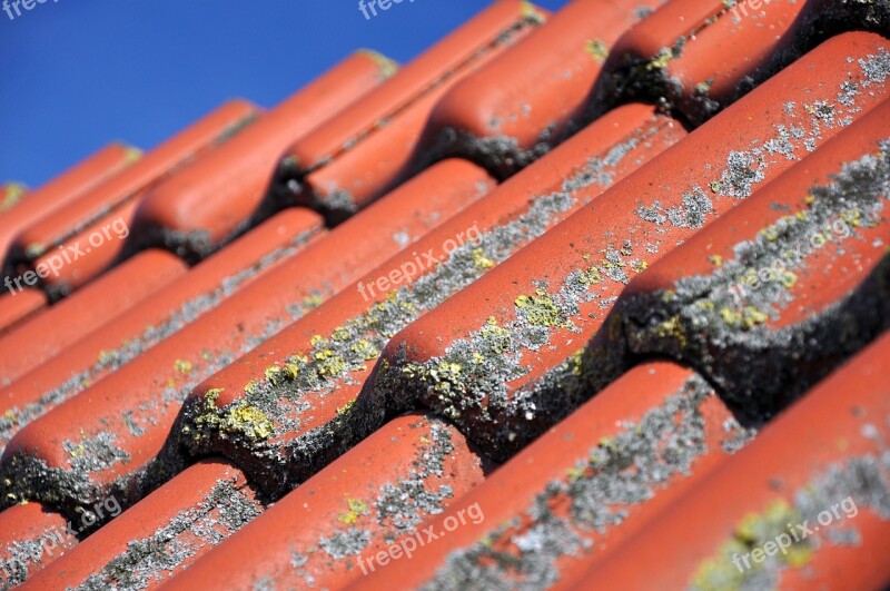 Roof Tile Clay Tiles Pantile Red